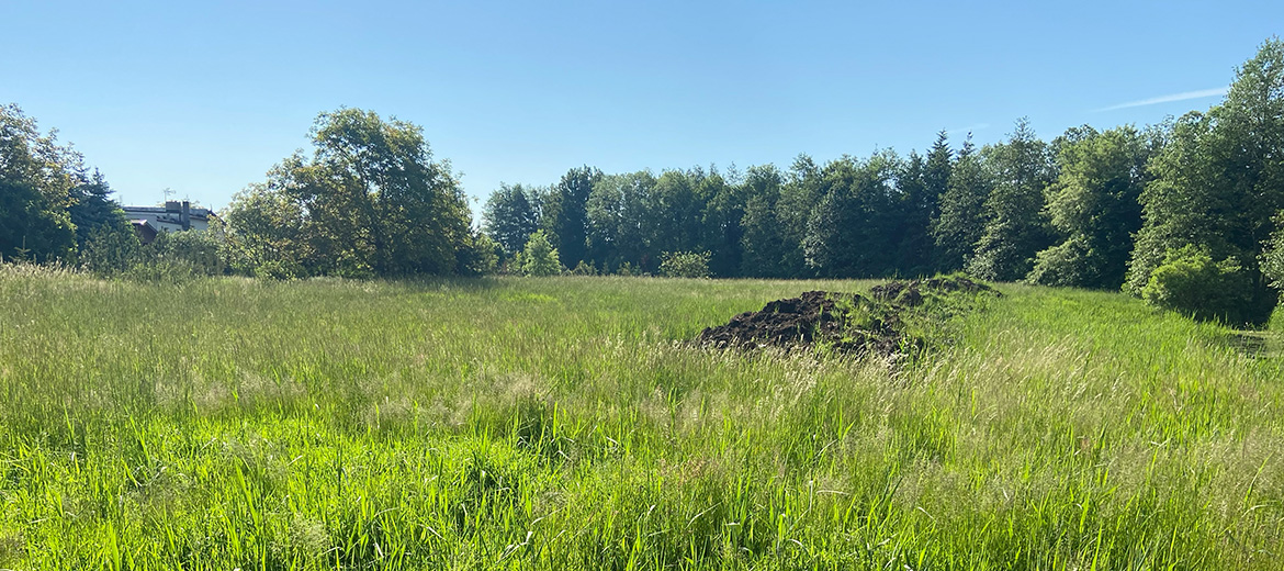 before-and-after-img-00