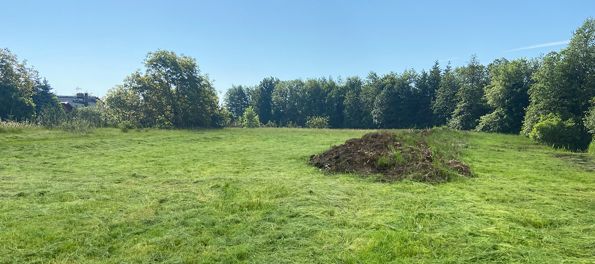 before-and-after-img-01