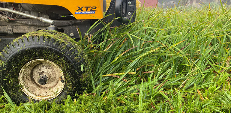 services-details-img-2