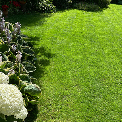 testimonial-two-img-1